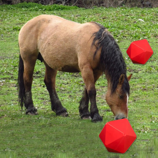 Horse Treat Ball