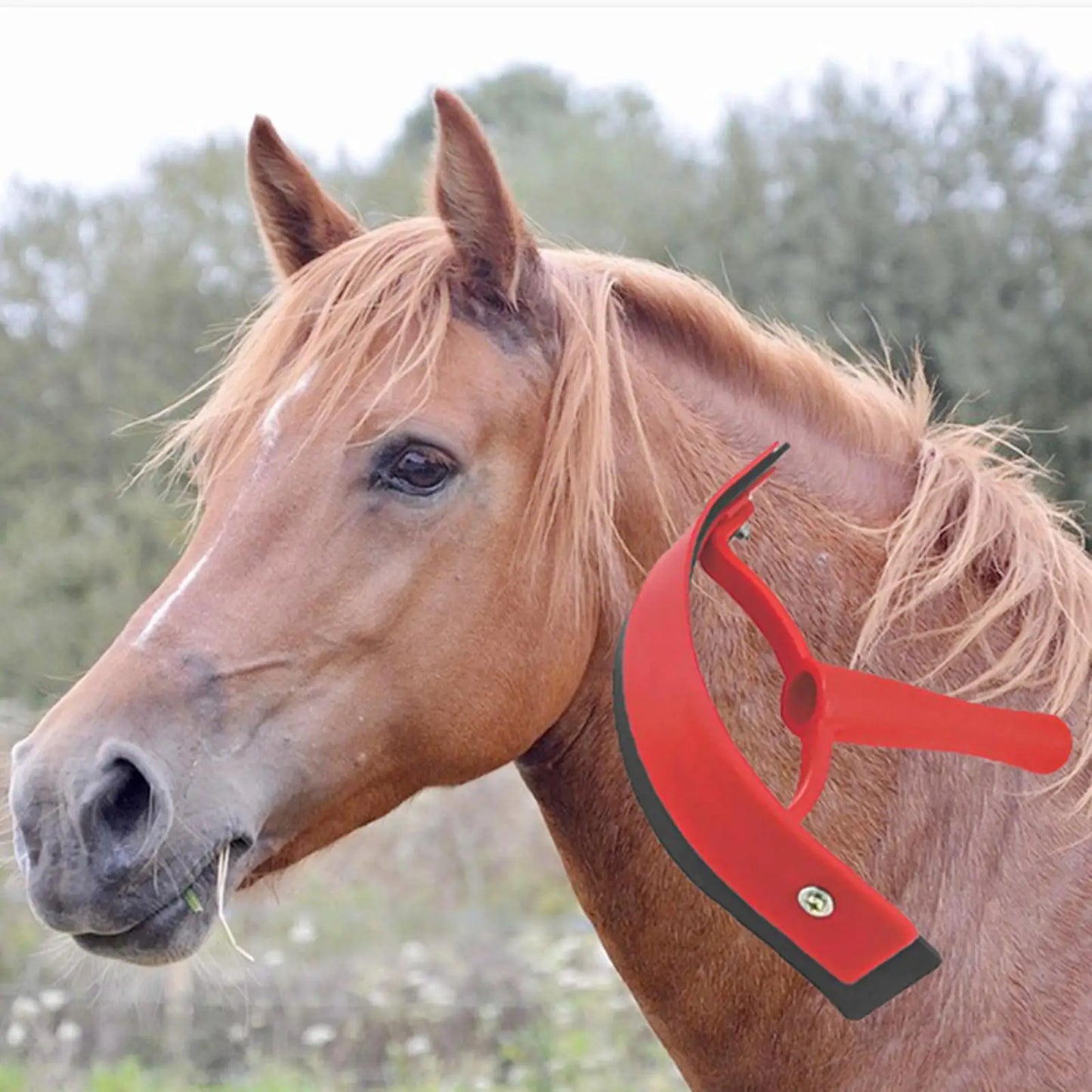 Horse Sweat Scraper