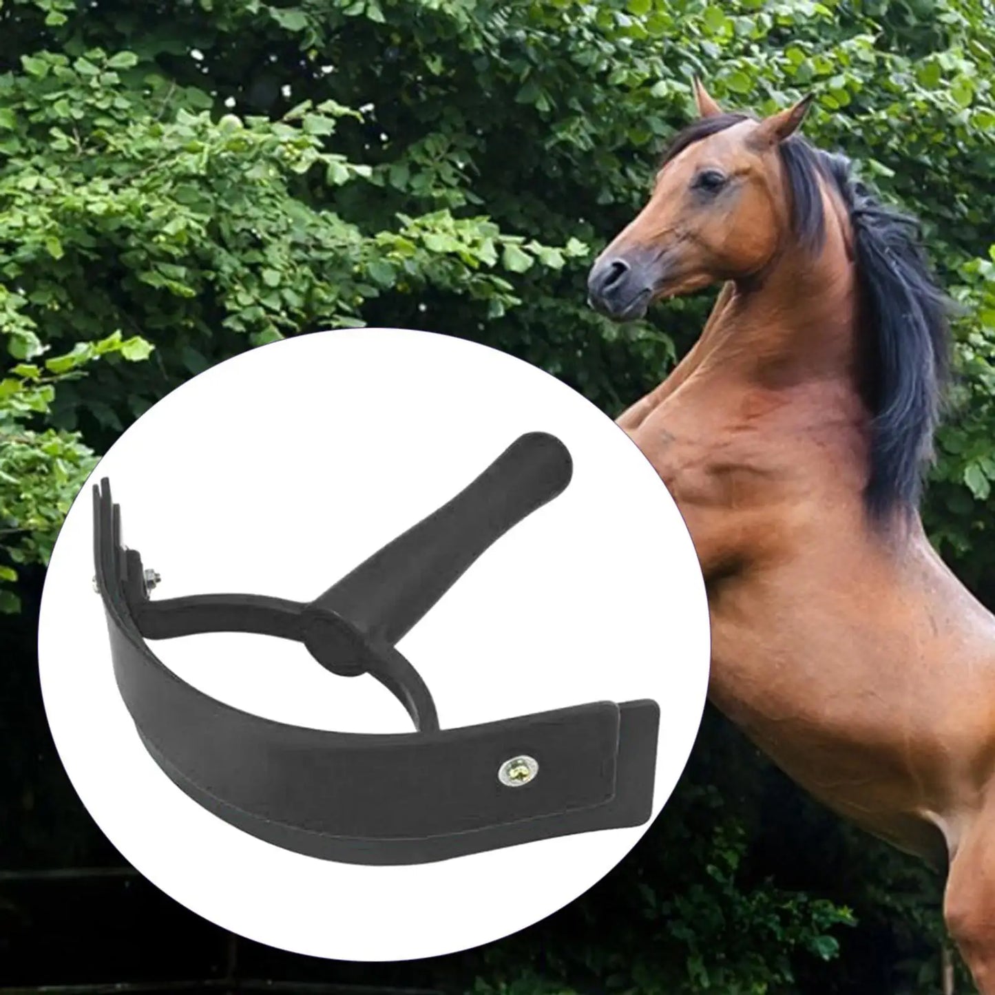 Horse Sweat Scraper