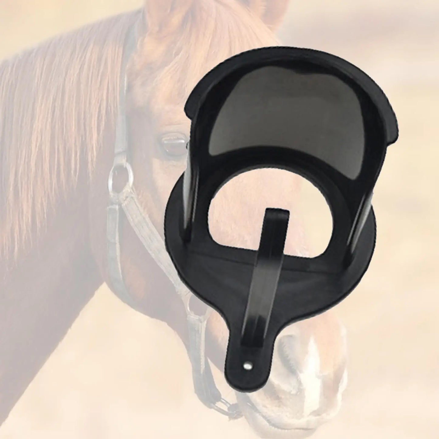 Horse headcollar Hook