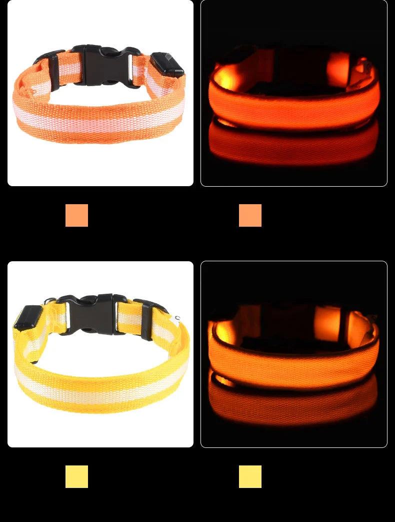 Nylon LED Night Safety Flashing Glow In The Dark