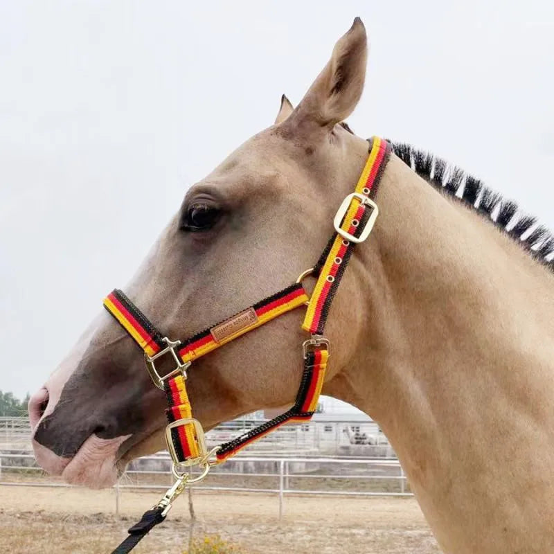 Protective Padded Headcollar