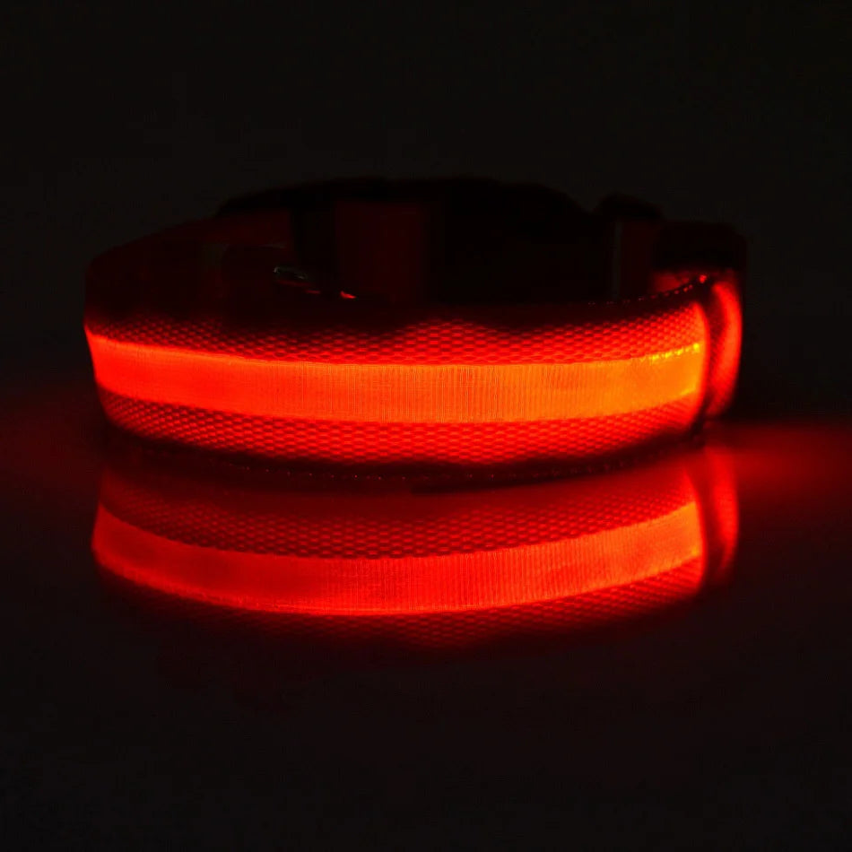 Nylon LED Night Safety Flashing Glow In The Dark