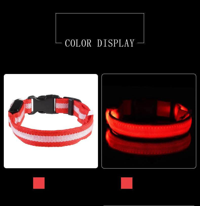 Nylon LED Night Safety Flashing Glow In The Dark