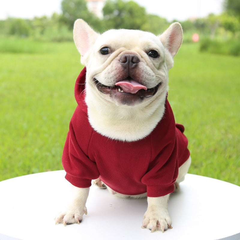 Dog Winter Hooded Sweatshirt